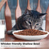 2 Pcs Cat Bowls, Wide & Shallow Cat Plates for Whiskey Fatigue Relief, 15cm/6’' Ceramic Cat Feeding Dishes Cute Fish Bone Design, Wet & Dry Food F...