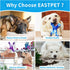 2 Pack Dog Chew Toy for Aggressive Chewers,Chicken Flavor,Nylon Material for Medium Large Breed Dogs (Large, Chicken)...