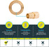 SharkBite 3/4 x 3/4 Inch Expansion FNPT Sweat Adapter for PEX-A Pipe, Brass Plumbing Fittings, Female NPT Adapter for PEX-A Tubing, UAB606LFA...