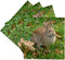 3dRose Bunny Rabbit in Autumn - Ceramic Tile Coasters, Set of 4 (CST_97867_3)...