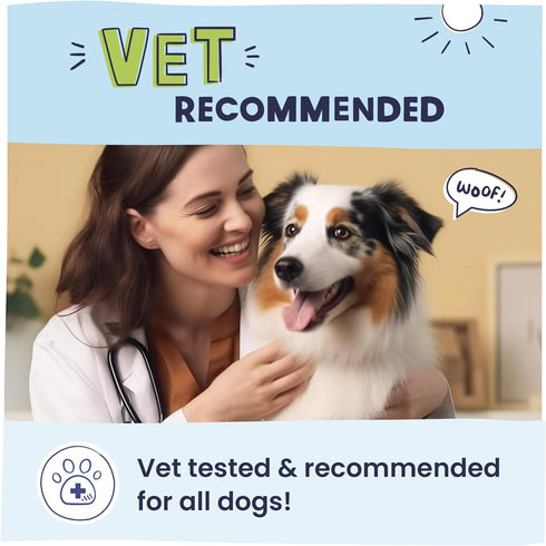 Pawstruck Vet Recommended Air Dried Dog Food Toppers for Picky Eaters - Made in USA with Real Chicken - Premium All Natural Meal Mix-in Kibble Sea...