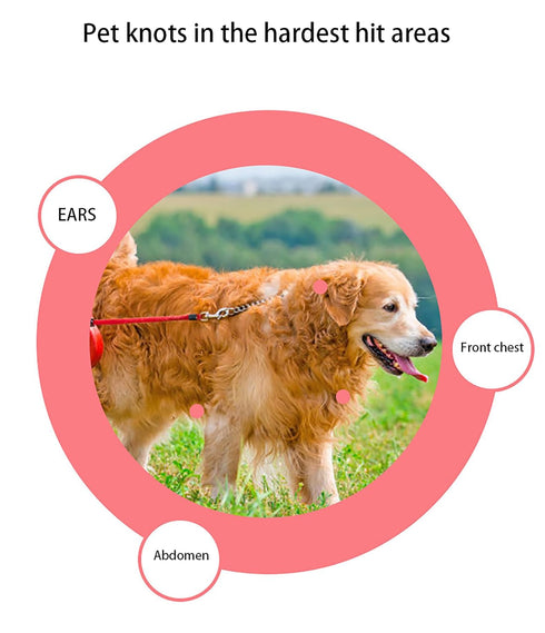 Dog Brush for Shedding, Pet Grooming Brush, Cat Deshedding Brush Tool, Double Sided Shedding and Dematting Undercoat Rake Comb for Dogs & Cats (bi...