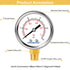 Lead-Free Water Pressure Gauge Liquid Filled 0-15Psi 2" Dial, Stainless Steel Case, 1/4" NPT Lower Mount, Water Pressure Gauge for Home...