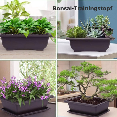 Bonsai Pot 6.5 Inches, 6 Packs Rectangle Bonzai Training Pots with Drainage Trays, Plastic Flower Pot Humidity Trays, Square Potted Planter Pot fo...