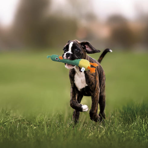 Nocciola 2 in 1 Duck Dog Toy with a Large Rubber Squeaker - Durable Stuffed Squeaky Chew Toys for Aggressive Chewers...