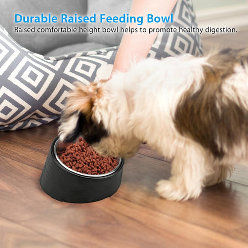 Tilted Angle Dog Bowl, 15° Slanted Stainless Steel Dog Cat Food Bowl, Non-Slip & Non-Spill Pet Feeder with Elevated Detachable Melamine Stand, Eas...