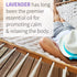 Garden of Life Essential Oil, Lavender 30 ml, USDA Organic & Pure, Clean, Undiluted & Non-GMO - for Diffuser, Aromatherapy, Meditation, Skincare, ...