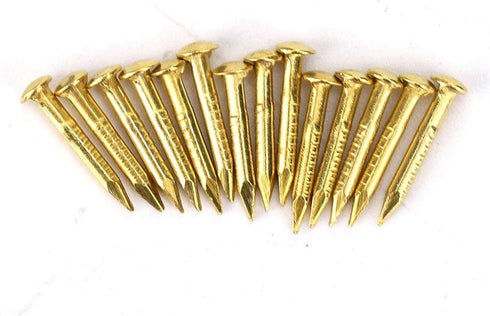 Brass Nails, 100 Pieces Round Head Gold Nails, Brass Wall Pins 10mm 15mm 18mm 22mm, Furniture Brass Tacks for Wood, for Hanging Picture Frame Mirr...