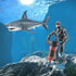 Ocean Sea Marine Animal Figure Toys Playsets 2 PCS Diver Blue Shark Model Toy Desktop Decoration Collection Party Favors Toys for Boys Girls Kids...