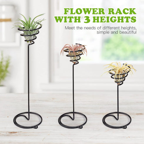 Mipcase 3pcs Flower Stand Air Plants Holders Plant Rack Large Indoor Plant Plant Display Holder House Plants Air Plant Holder Plant Holders Straig...