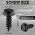 LivTee Rustproof License Plate Screws for Securing License Plates Frames and Covers on Cars and Trucks, 4 Sets Premium Stainless Steel Self Tappin...