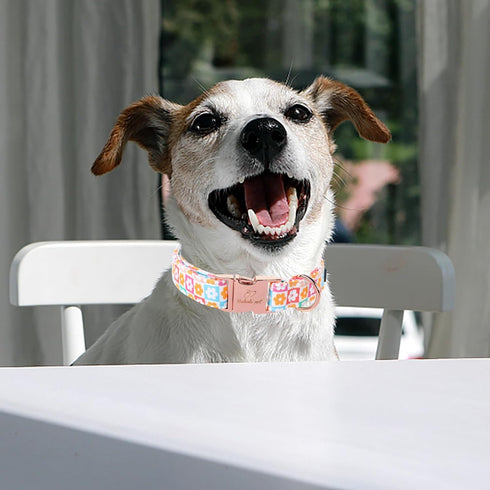 Dog Collar for Spring and Summer, Cotton Dog Collar with Safety Metal Buckle, Adjustable Puppy Collar for Small, Medium and Large Dogs S...