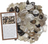 Hypnotic Gems Materials: 1/2 lb Smokey Quartz Tumbled Stones - Grade 2 - XSmall - 0.5" to 1" Avg. - Bulk Natural Rocks Polished Gemstone Supplies ...