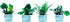 Miniature Dollhouse Accessories 16 Pieces Miniatures Plants Flowers Bonsai Greenery Ornament Mini Toys for Dollhouse Fairy Garden Landscape DIY De...