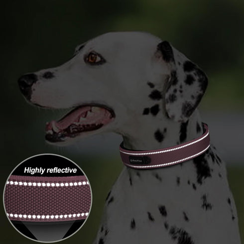 PetiFine Neoprene Padded Dog Collar, Heavy Duty Comfort Dog Collar with Durable Metal Buckle, Reflective Adjustable Belt Buckle Dog Collars for Sm...
