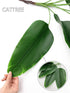 CATTREE 33 inch Tall Artificial Banana Tree, 9 Branches with Brown Leaves, UV Resistant Plastic, Ideal for Decorating Indoors or Outdoors...