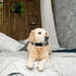 Reflective Collar Replacement Strap, Dog GPS Training Bark Receiver Collars, Heavy Duty Replacement Collar for Shock Training, E Collar Straps for...