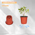 100 pcs 4-inch plastic plant nursery pots, reusable plant and flower nursery pots and starter pots (4-inch)...