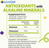 Alkazone Balance Your pH, Antioxidants Alkaline Mineral Drops, Single 1.25 Oz Pack, Portable, Yields 10 Gallons of alkaline, antioxidant Water, Un...