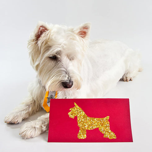 Dog Stencil Dog Drawing Stencils 11.8×11.8inch Reusable Flexible Pet Painting Template Smooth Edge for Farmhouse Home Decor Paint on Wood/Fabric/W...