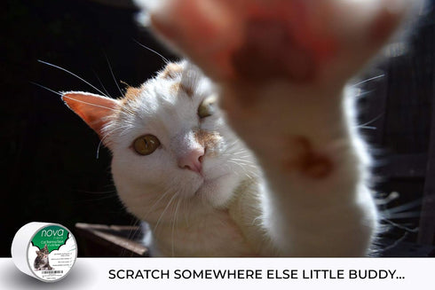 Scratch Deterrent Cat Training Tape, 3 inch x 30 Yards, Stop Your pet from Scratching Furniture, Chairs, Sofas, Textiles, Bed Posts etc....