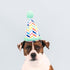 Fringe Studio Plush Dog Toy, Cheers for A Barkday, Pet Shop Collection (314246)...