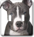 3dRose lsp_4240_2 " American Pit Bull Terrier Puppy Double Toggle Switch...