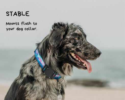 Airtag Dog Collar Holder, Ultra-Durable Dog and Cat Collars Mount for AirTag, Fits All Width Collars (2-Pack, BLACK)...