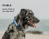 Airtag Dog Collar Holder, Ultra-Durable Dog and Cat Collars Mount for AirTag, Fits All Width Collars (2-Pack, BLACK)...