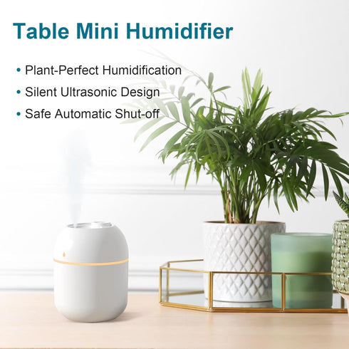 Portable Small Humidifier, USB Personal Desktop Humidifier for Car, Office Room, Bedroom, Auto Shut-Off, 2 Mist Modes, Super Quiet(220ml, White)...
