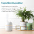 Portable Small Humidifier, USB Personal Desktop Humidifier for Car, Office Room, Bedroom, Auto Shut-Off, 2 Mist Modes, Super Quiet(220ml, White)...