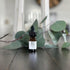 Eucalyptus Conifer Diffuser Oil - Air-Scent Aroma and Essential Oil Blend - 10 Milliliter (.34 ? oz) Fragrance Oil Bottle for Aromatherapy Di?user...