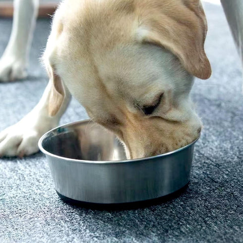 5mm Thick Stainless Steel Dog Bowls, Non-Slip with Silicone Base Cat Dishes, 4 Cups Food Grade BPA Free, Less Sliding, Premium Water and Food Pat ...