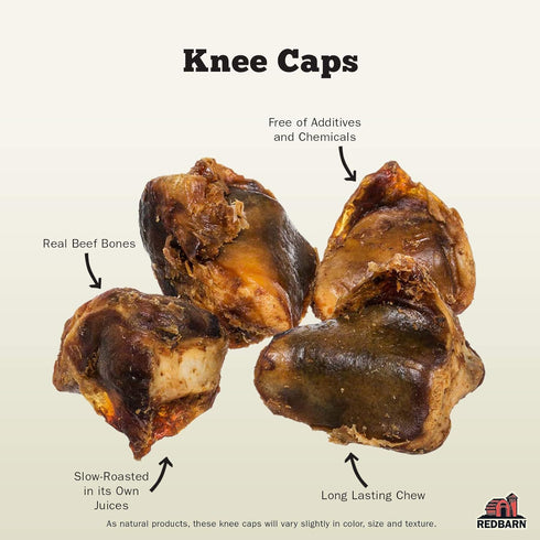 Redbarn Knee Caps for Dogs 4pk (1-Count)...