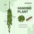 Meiliy 4pcs Artificial Succulent Plants Hanging Succulent Plants Faux Succulents Unpotted Branch String of Pearls Plant for Home Kitchen Office We...