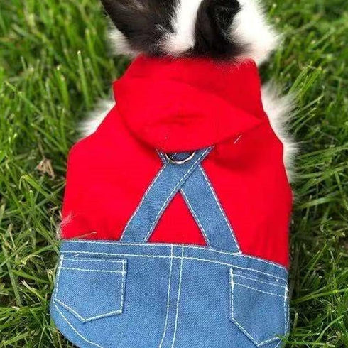 Small Pet Costume Rabbit Clothes Ferret Hoodies Sweatshirt Bunny Vest Harness and Leash Set Kitten Sweater Small Animals Outfits for Chihuahua Kit...