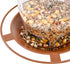 Hanging Bird Feeder Squirrel Proof for Outdoor Wild Bird Seed, Brown...