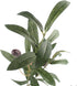 Artificial Olive Branch Stems 5pcs 28 Inch...