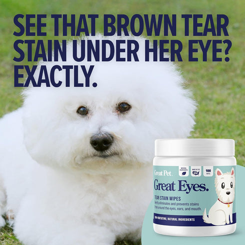 Great Eyes - Safe & Gentle Tear Stain Remover for Dogs - Natural Eye Wipes for Dogs - Made in The USA & Easy to Use Pre-Soaked Wipes - 100 Wipes...