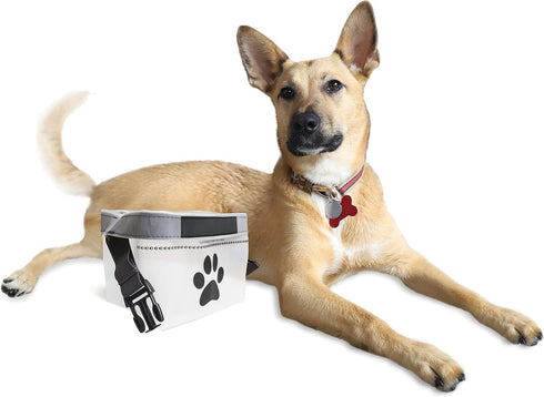 rezip Clip N' Go Pet Bowl 2-Pack | Collapsible Portable Dog Food Storage Bag and Feeding/Water Bowl | BPA-Free, Food Grade, Leakproof | Reusable, ...