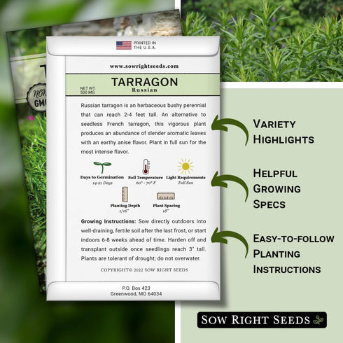 Sow Right Seeds - Russian Tarragon Seeds for Planting - Little Dragon - Non-GMO Heirloom Packet with Instructions for Planting a Beautiful Herb Ga...