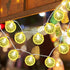SUNSGNE Lemon LED Decorative String Lights Indoor, 8.5ft Outdoor Hanging String Lights with 10 LED Lemon, Plug in Warm White Fairy Light String fo...