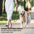 Active Pets Strong Dog Leash with Padded Handle, 4 Sizes from Puppy Leash to 6ft Dog Leash for Large Dogs, Dog Leash 6ft-4ft Long, Comfortable 6ft...