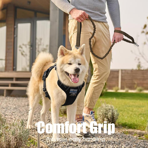 BUMBIN 6Ft Dog Leash Large Dogs, Bungee Dog Leash with 2 Handles, Heavy Duty Dog Leashes for Medium Small Dogs, No Pull Shock Absorbing Dog Leash ...