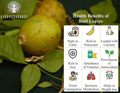 Bilva Powder - Bael Leaves Powder - Aegle marmelos -50 Gm - Supports Proper Function of The Bowels...