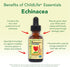 CHILDLIFE ESSENTIALS Echinacea for Kids - Kids Echinacea Drops, Liquid Tincture, Alcohol Free Supplement for Babies, Toddlers, Children - Natural ...