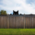 2 Pieces Cat Statue Art Decor Garden, Black Cat Silhouette Décor Animals Shape Yard Decoration Art Decoration for Yard Lawn, Garden, Pathway, Outd...