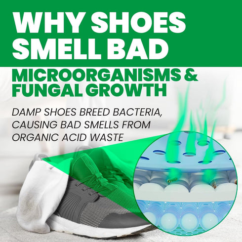 Uncle Todd's Odor Stomp Shoe Deodorizer - Proven & Powerful Enzyme Formula for Odor Elimination in All Footwear (Mountain Fresh)...