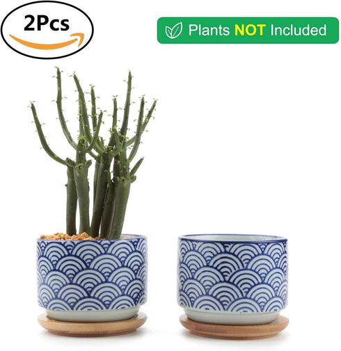 T4U 3 Inch Ceramic Succulent Planter Pots with Bamboo Tray Set of 2, Japanese Style Porcelain Handicraft as Gift for Mom Sister Aunt Best for Home...