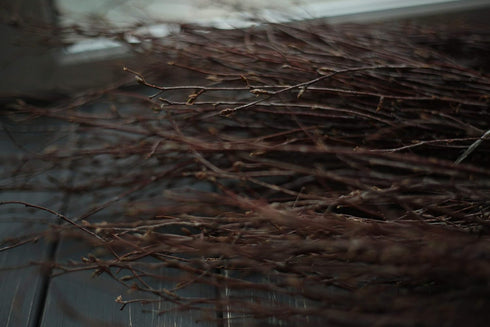 50 pcs Birch Branches for Vases, Decoration for Sale. Natural Birch Twigs for centerpieces. Floral Stick....